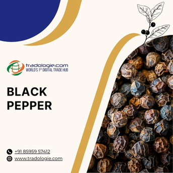 Mumbai, Farm & Garden, INR 2,  Black Pepper Wholesalers &ndash; Bulk Supply, Export & Import Guide For Global Buyers