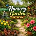 Enhance Your Home With A Nursery Garden In Trichy