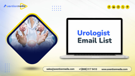 New York, Business, Grab  An Accurate Urologist Email List Email List For Your Campaigns