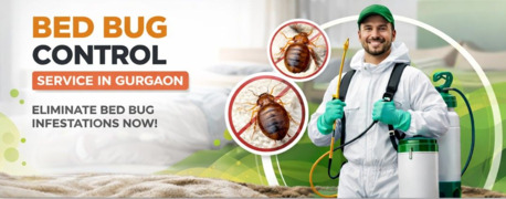Gurgaon, Pest Control, Expert Bed Bug Control Service In Gurgaon With Advanced Treatment | Service Mantra
