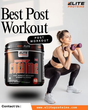 New Delhi, Health & Beauty Items, INR 2099,  Best Post Workout Protein For Weight Gain &ndash; EliteProteins