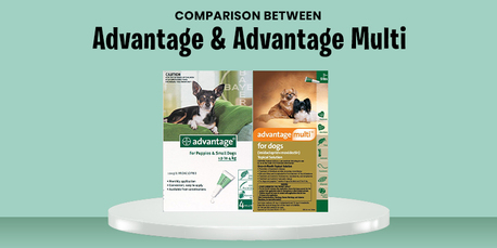 New York, Pet Supplies, USD 35,  Advantage Vs Advantage Multi (Advocate) - Which One Is Best For Flea & Tick Prevention In