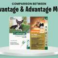 USD 35,  Advantage Vs Advantage Multi (Advocate) - Which One Is Best For Flea & Tick Prevention In