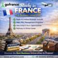 Study In France | A Complete Guide For Students Who Dream Beyond Borders
