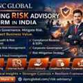 Risk Advisory Service In India