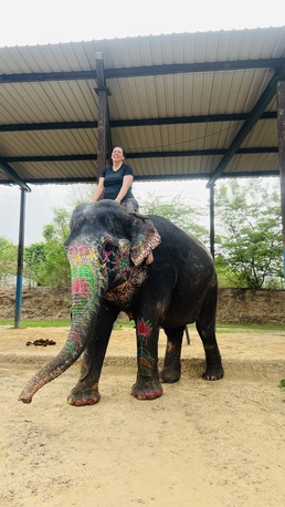 Jaipur, Travel, Elefriendride &ndash; Elephant Ride At Amber Fort | Ethical Experience In Jaipur