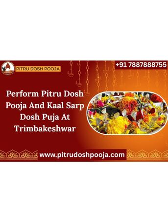 Mumbai, Business, Perform Pitru Dosh Pooja And Kaal Sarp Dosh Puja At Trimbakeshwar