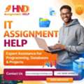 IT Assignment Help &ndash; Your Smart Partner For Stress-Free IT Assignments