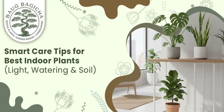 Mumbai, Farm & Garden, INR 01,  Buy Plants Online In Vadodara | Baugbagicha