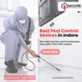 Best Pest Control In Indore | Safe & Reliable Home Pest Solutions &ndash; Secure Pest Control
