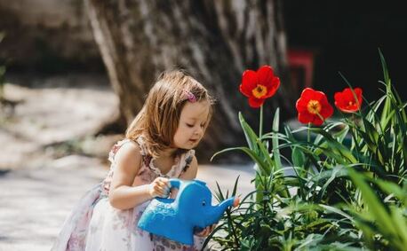New York, Education, Enriching Nature Preschools &ndash; Outdoor Learning That Inspires Young Minds