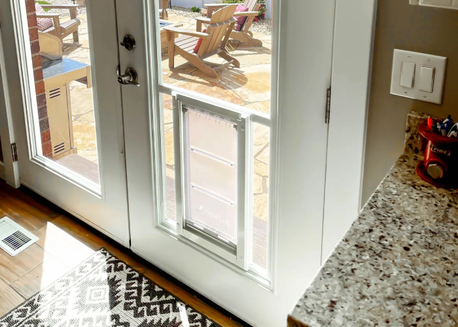 Perth, Business, Pet Door Glass Installation Service In Bennett Springs