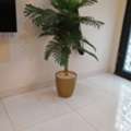 SAR 150,  Pair Of Artificial Plant With Pot