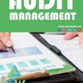 Audit Management Pay Taxes