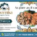 INR 120,  Order Pure Cow Milk In Electronic City Bangalore