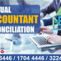 Virtual Accountant Reconciliation
