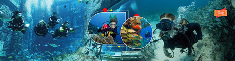 Dubai, Travel, Experience Underwater Thrills In Dubai
