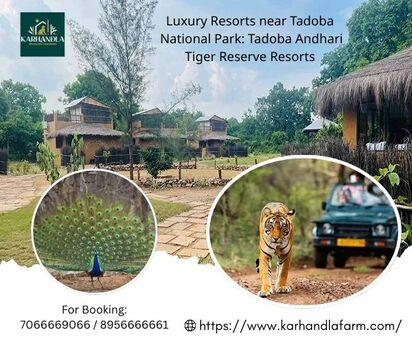 Mumbai, Travel, Karhandla Wildlife Luxuries: Tadoba Andhari Tiger Reserve Resorts