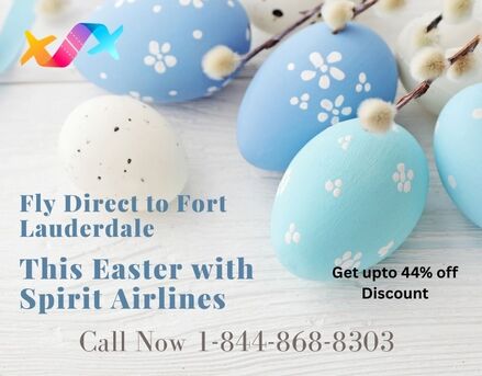 New York, Travel, Fly Direct To Fort Lauderdale This Easter With Spirit Airlines &ndash; Get Upto 44% Off Discount