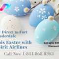 Fly Direct To Fort Lauderdale This Easter With Spirit Airlines &ndash; Get Upto 44% Off Discount
