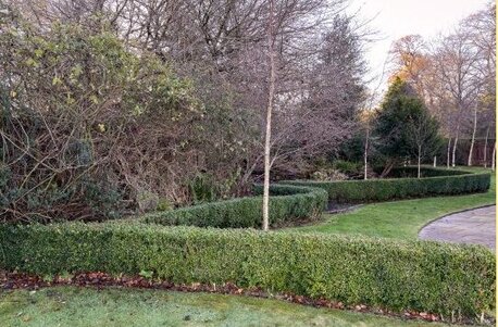 London, Business, Practical Solutions From A Professional Gardening Company