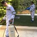German Pest Control Service In Egypt | Call Now 01016662501