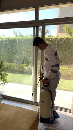 Cairo, Cleaning, German Pest Control Service In Egypt | Call Now 01016662501