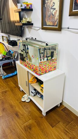 Riyadh, Pet Supplies, SAR 590,  Beautiful Aquarium Fish Tank - Like NEW