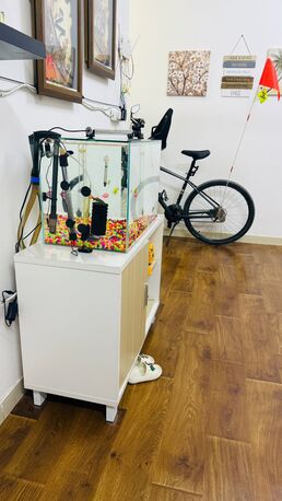 Riyadh, Pet Supplies, SAR 590,  Beautiful Aquarium Fish Tank - Like NEW