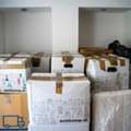 MOVER, Packers Relocator Services