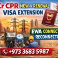 Cr Cpr New Or Renewal Visa Extension