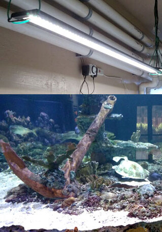 New York, Household, Rialto Industrial Led Lighting Installation