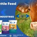 Best Cattle Feed Brand
