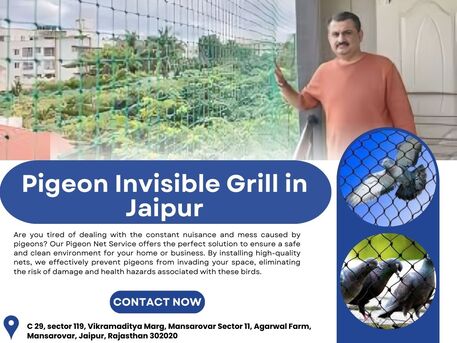 Jaipur, Business, Pigeon Invisible Grill In Jaipur For Balcony Safety