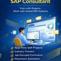 Best SAP Institute For Freshers & Professionals In Delhi
