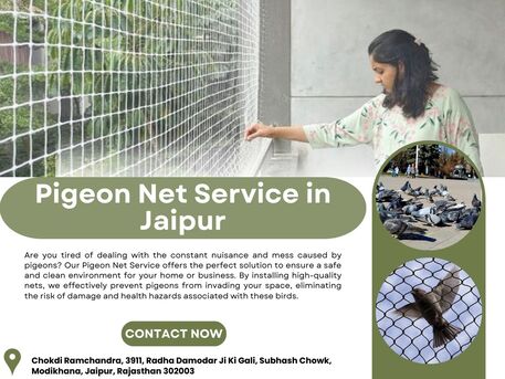 Jaipur, Business, Best Pigeon Net Service In Jaipur For Balcony