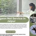 Best Pigeon Net Service In Jaipur For Balcony