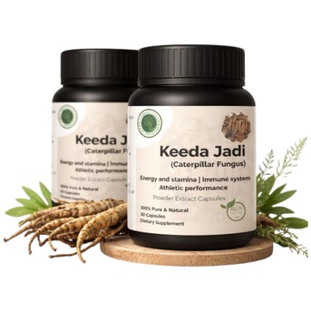 Noida, Health, Keeda Jadi Extract Capsules &ndash; Natural Strength & Balance Support