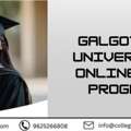 Galgotias University Online MBA Program