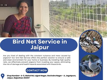 Jaipur, Business, Best Bird Net Service In Jaipur At Low Cost
