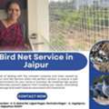 Best Bird Net Service In Jaipur At Low Cost