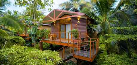 Bangalore, Travel, Rejuvenate At A Premium Wellness Resort In Mysore