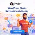 Custom WordPress Plugin Development Agency | QeWebby