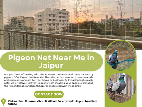 Jaipur, Business, Pigeon Net Near Me In Jaipur &ndash; Book Today