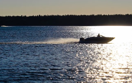 New York, Business, Trusted Invasive Weed Control Services | Aquatix LLC