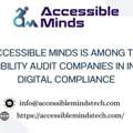 Why Accessible Minds Is Among The Top Accessibility Audit Companies In India