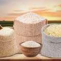 Buy Best Basmati Rice In India At Wholesale Price