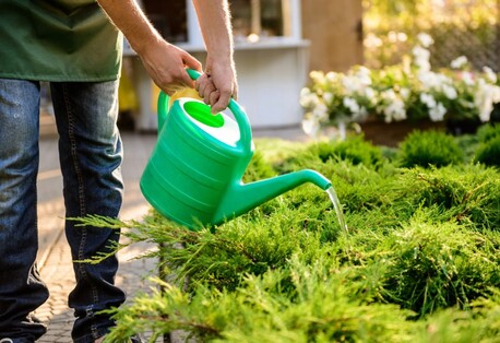 Sydney, Cleaning, Professional Gardening Services For A Beautiful Outdoor Space