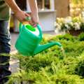 Professional Gardening Services For A Beautiful Outdoor Space