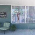 Affordable Window Graphics In Tampa By Amazing Signs